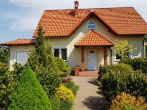Dom Wakacyjny Z Widokiem Na Jezioro w Borzechowie in Borzechowo
